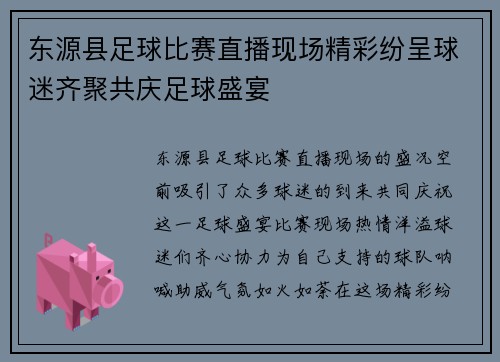 东源县足球比赛直播现场精彩纷呈球迷齐聚共庆足球盛宴